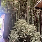 ゲストハウス Versilia - Pietrasanta - Le Colmate 3*