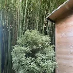 Versilia - Pietrasanta - Le Colmate トンファーノ
